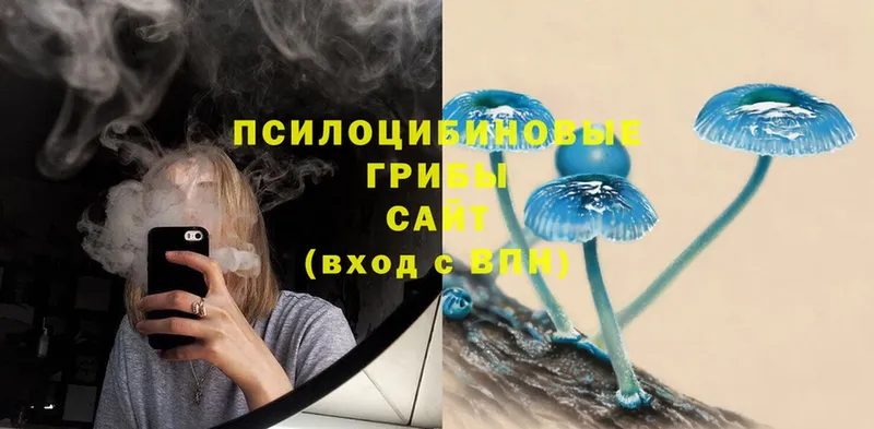 Псилоцибиновые грибы Magic Shrooms  закладки  Уссурийск 